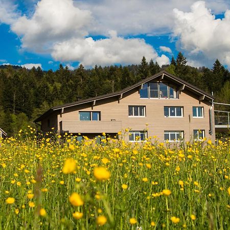 히티사우 Haus Feurstein 아파트 외부 사진