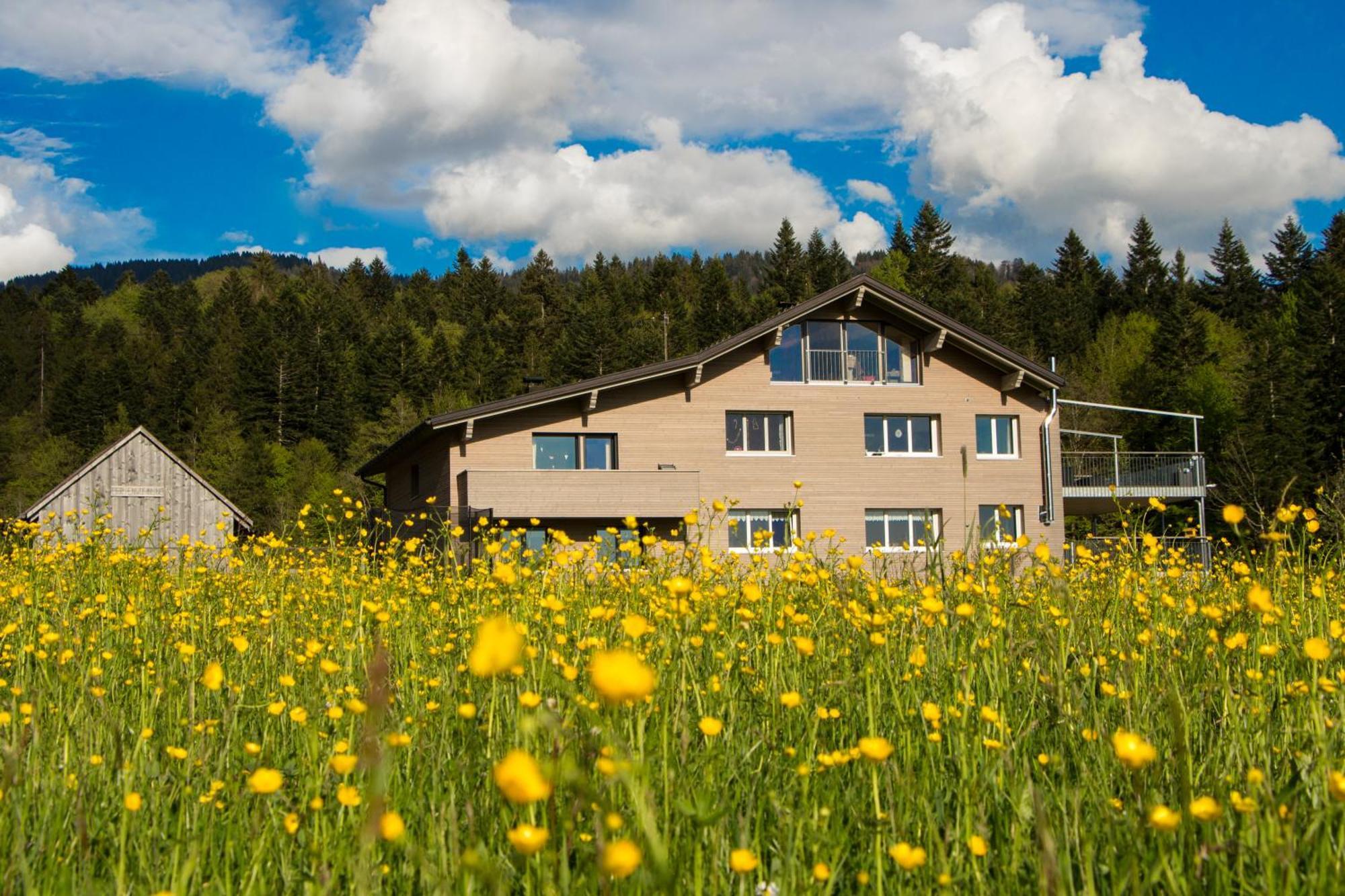 히티사우 Haus Feurstein 아파트 외부 사진